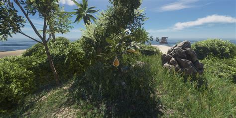 kura fruit stranded deep  I searched google and now I know what the plants should look like but no matter where I go they're just not there